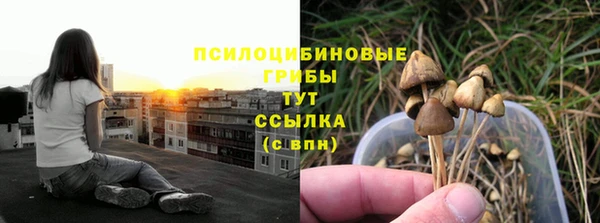 PSILOCYBIN Вязники