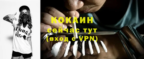 прущие грибы Бежецк