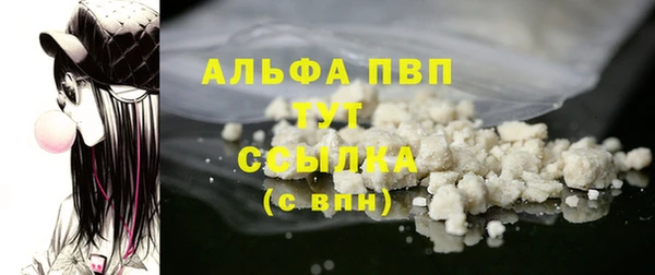 PSILOCYBIN Вязники