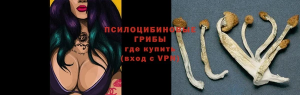 круглые Вяземский