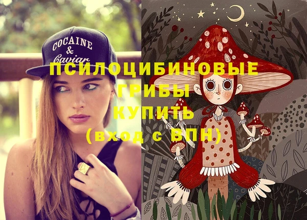 первитин Вязьма