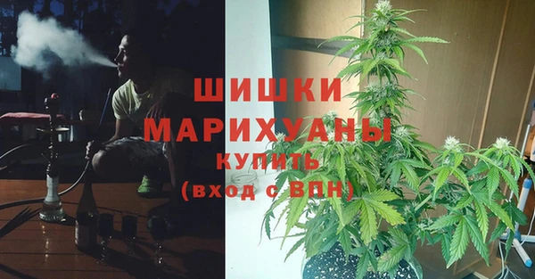 круглые Вяземский