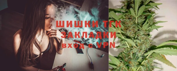 PSILOCYBIN Вязники