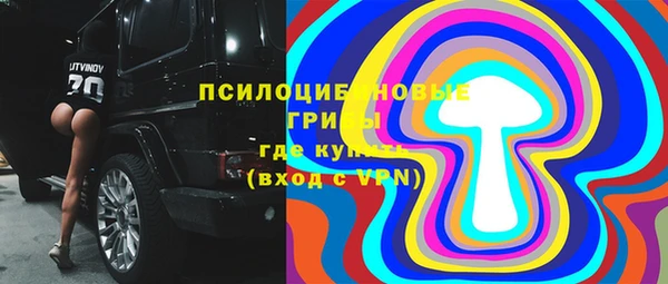 круглые Вяземский