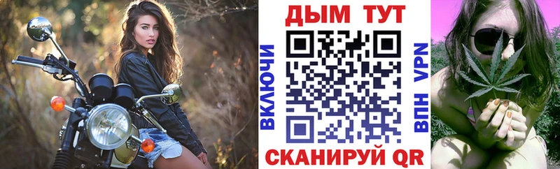 Бошки Шишки конопля  Гаврилов Посад 